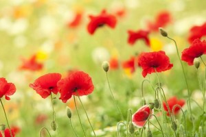 彩吧论坛首页今日头条